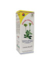 Pilosella compositum gtt 100ml