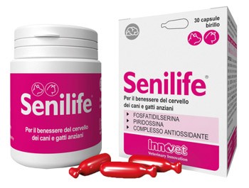 Image of Forcella nasale ad in vetro cod085