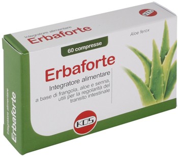 Condress collagene equino10x10