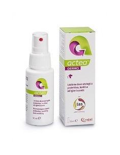 Euroderm plus 10x10cm 5pz