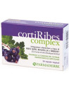 Ainara gel 30g con applicatore