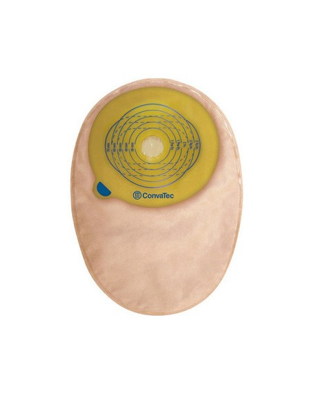 Flormidabil daily 10bust c ste