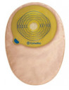 Flormidabil daily 10bust c ste