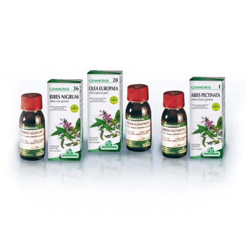 Image of Rosa canina 50ml gm 1 dh gett cod085