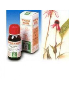 Gingko biloba 50ml tm
