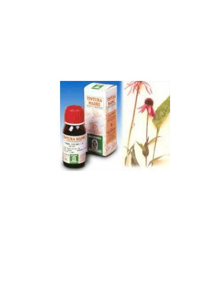 Gingko biloba 50ml tm