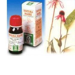 Gingko biloba 50ml tm