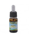 Aromap olio 10ml