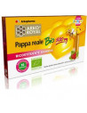 Pappa reale bio 500mg 10fl