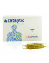 Cobalto co 20amp catalitic