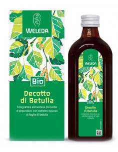 Decotto di betulla 250ml
