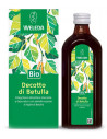 Decotto di betulla 250ml