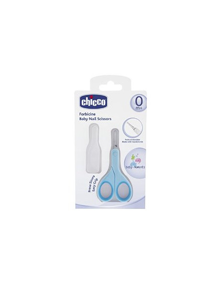 Ch forbicine azzurre