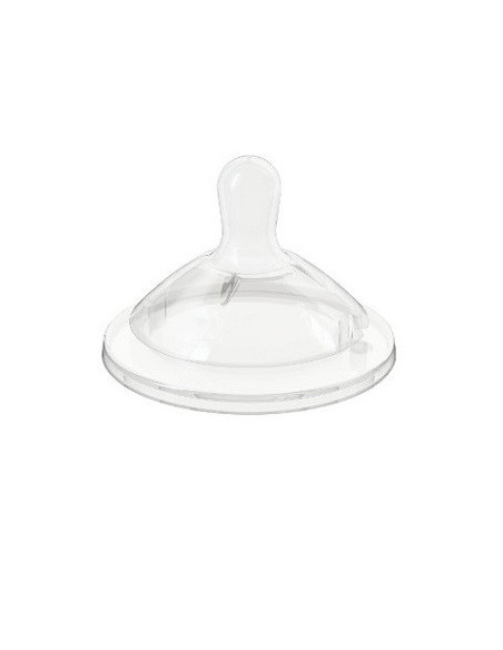 Ch tett stepup new 6m piu pap