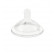 Ch tett stepup new 6m piu pap