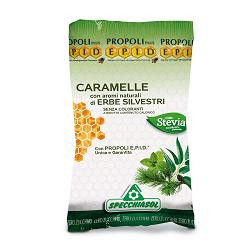 Image of Epid caram erbe s zucch 24pz cod085