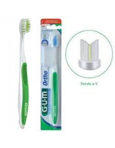 Gum ortho spazz ortodontico