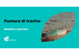 Puntura di tracina: rimedi e cosa fare per l’imprevisto al mare