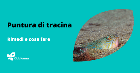 Puntura di tracina: rimedi e cosa fare per l’imprevisto al mare