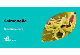 Salmonella: sintomi e cura dell'infezione gastrointestinale in aumento d’estate