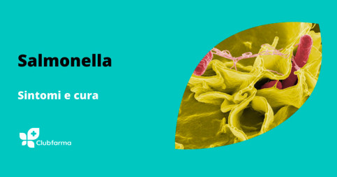 Salmonella: sintomi e cura dell'infezione gastrointestinale in aumento d’estate