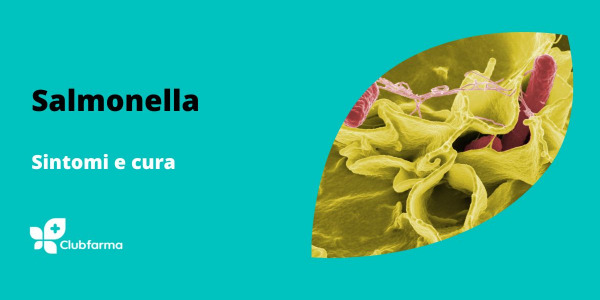 Salmonella: sintomi e cura dell'infezione gastrointestinale in aumento d’estate