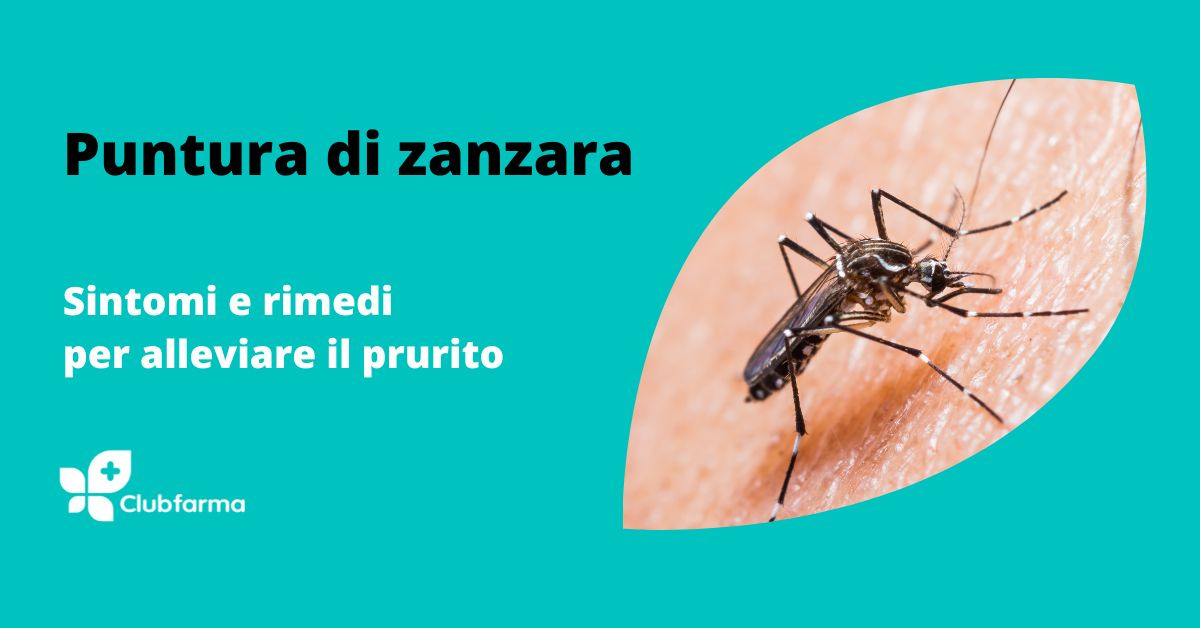 Puntura di zanzara: sintomi e rimedi per alleviare il prurito